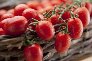 grape tomato august 2014